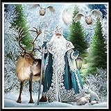 DIY 5D Diamond Painting by Number Kits , AMA(TM) Crystal Rhinestone Pasted Diamond Embroidery Cross Stitch Canvas Paintings Pictures Arts Craft for Home Wall Decor (E)
