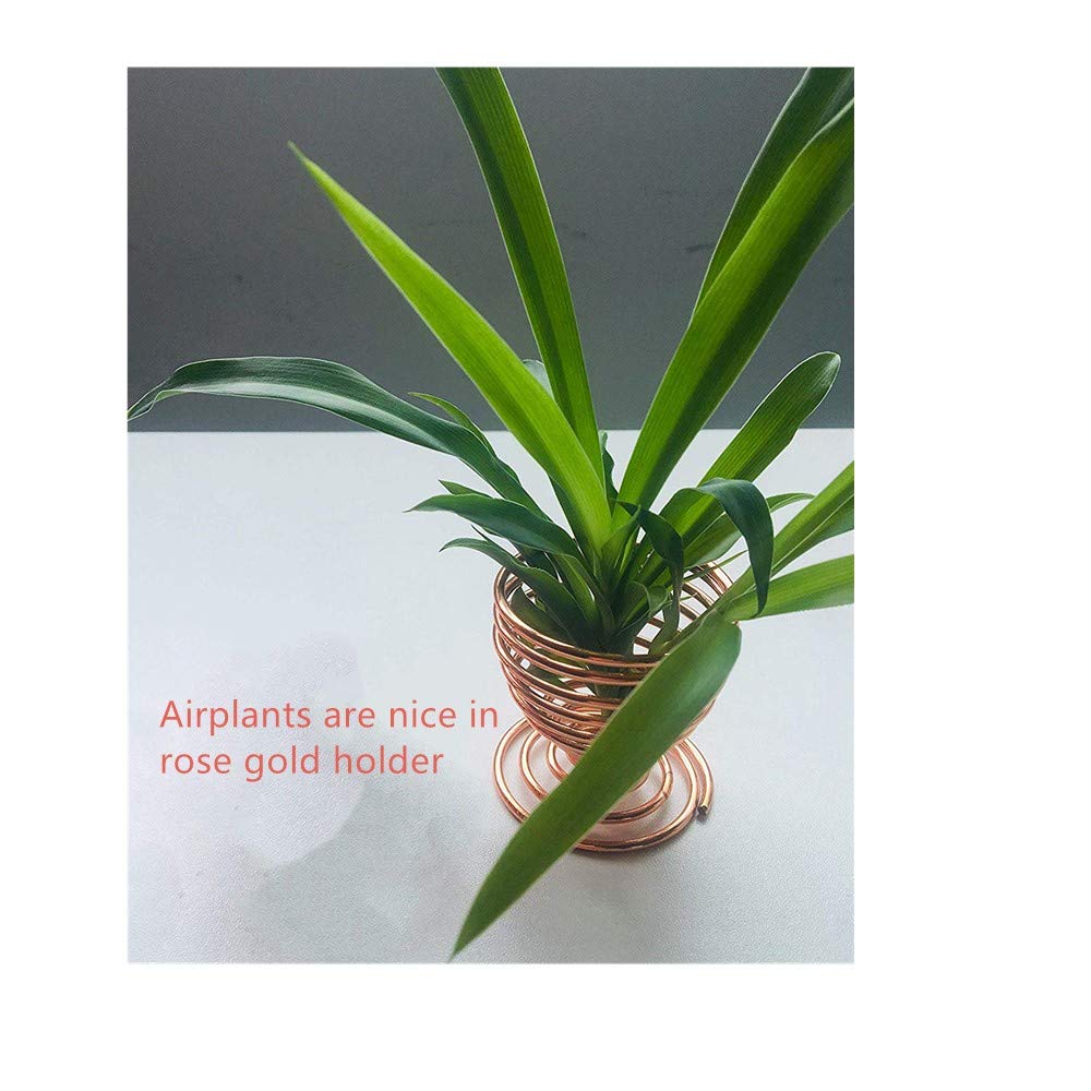 WOOK 4 Unidades de Soportes para Plantas de Aire de Oro Rosa ...