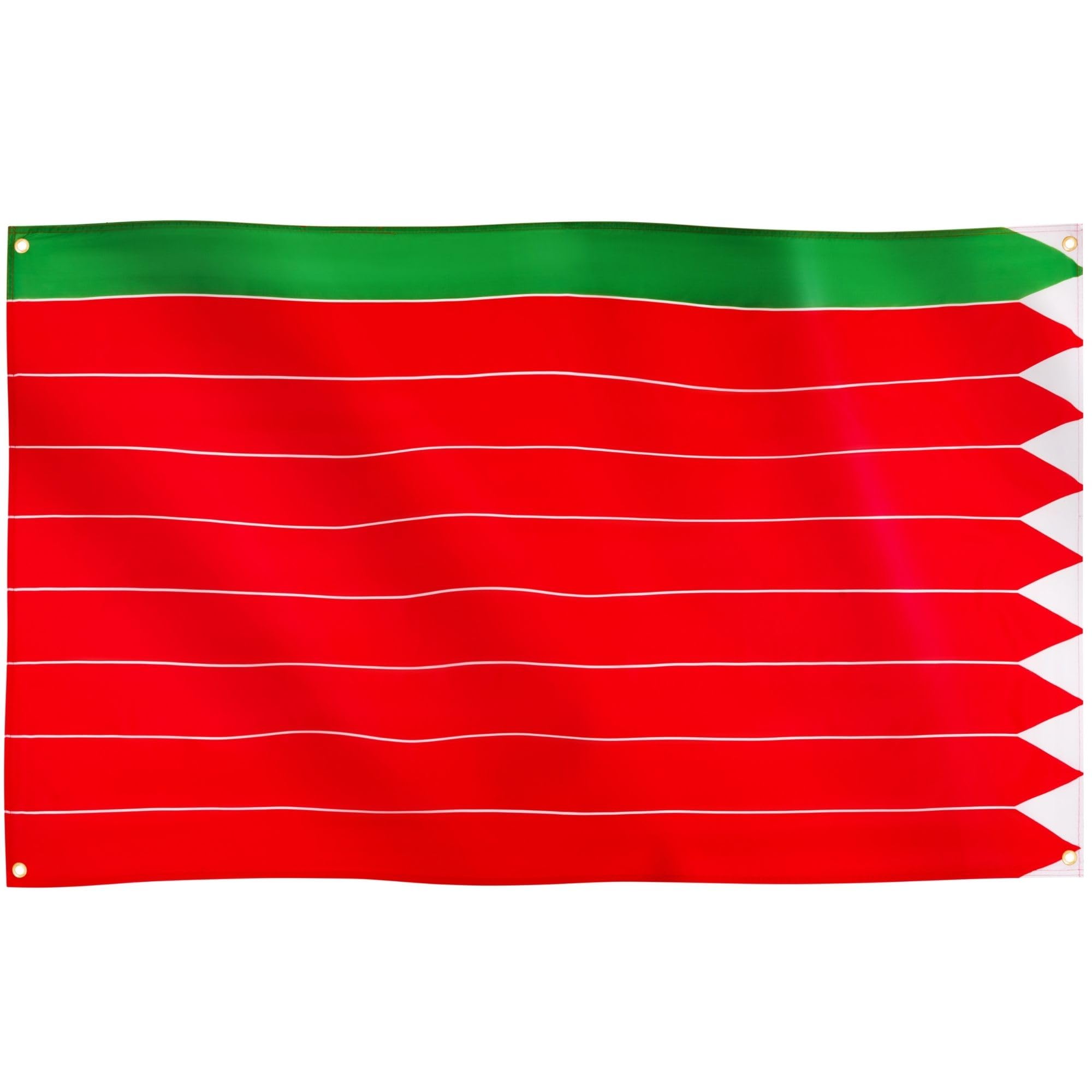 Runesol Zamora Flag, 91x152cm, 3ft x 5ft, 4 Grommets, Eyelet In Every Corner, Spanish Regional Flag, Holy Week, Castile and León Day, Premium Flags, Inside, Outside, Banner, Vivid Colours — image 1