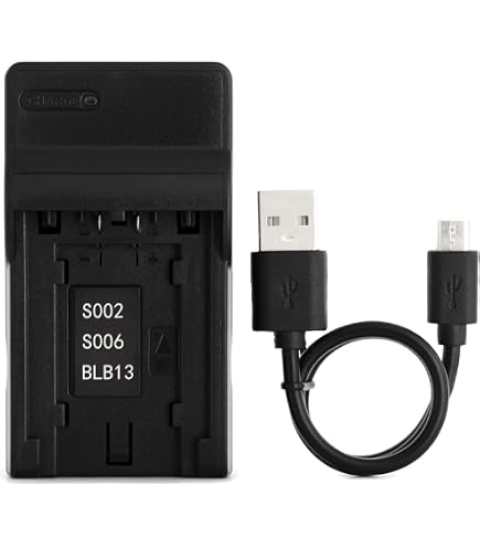 Amazon.com : BM Premium CGA-S006 Dual Battery Charger for