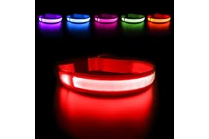 MASBRILL Light Up Dog Collars-LED Dog Collar Rechargeable Waterproof Lighted Dog Collar Night Walking Glow Collar for Small Medium Large Dogs