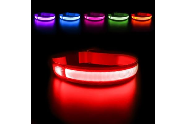 MASBRILL Light Up Dog Collar, LED Safety Collar with USB Rechargeable Super Bright Dog Flashing Collar with Waterproof, 4 Col