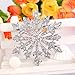 EVER FAITH Women's Austrian Crystal Winter Snowflake Brooch Clear Silver-Tone