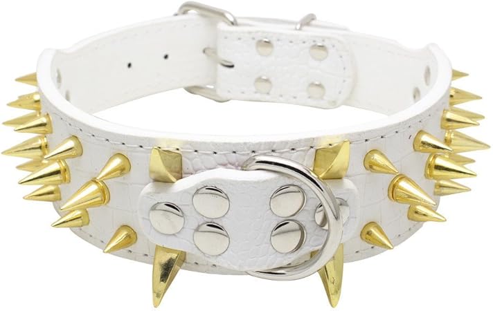 gold spiked dog collar
