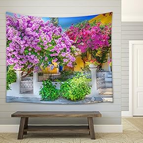 House with Bougainvillea - Fabric Wall Tapestry Home Decor - 51x60 inches
