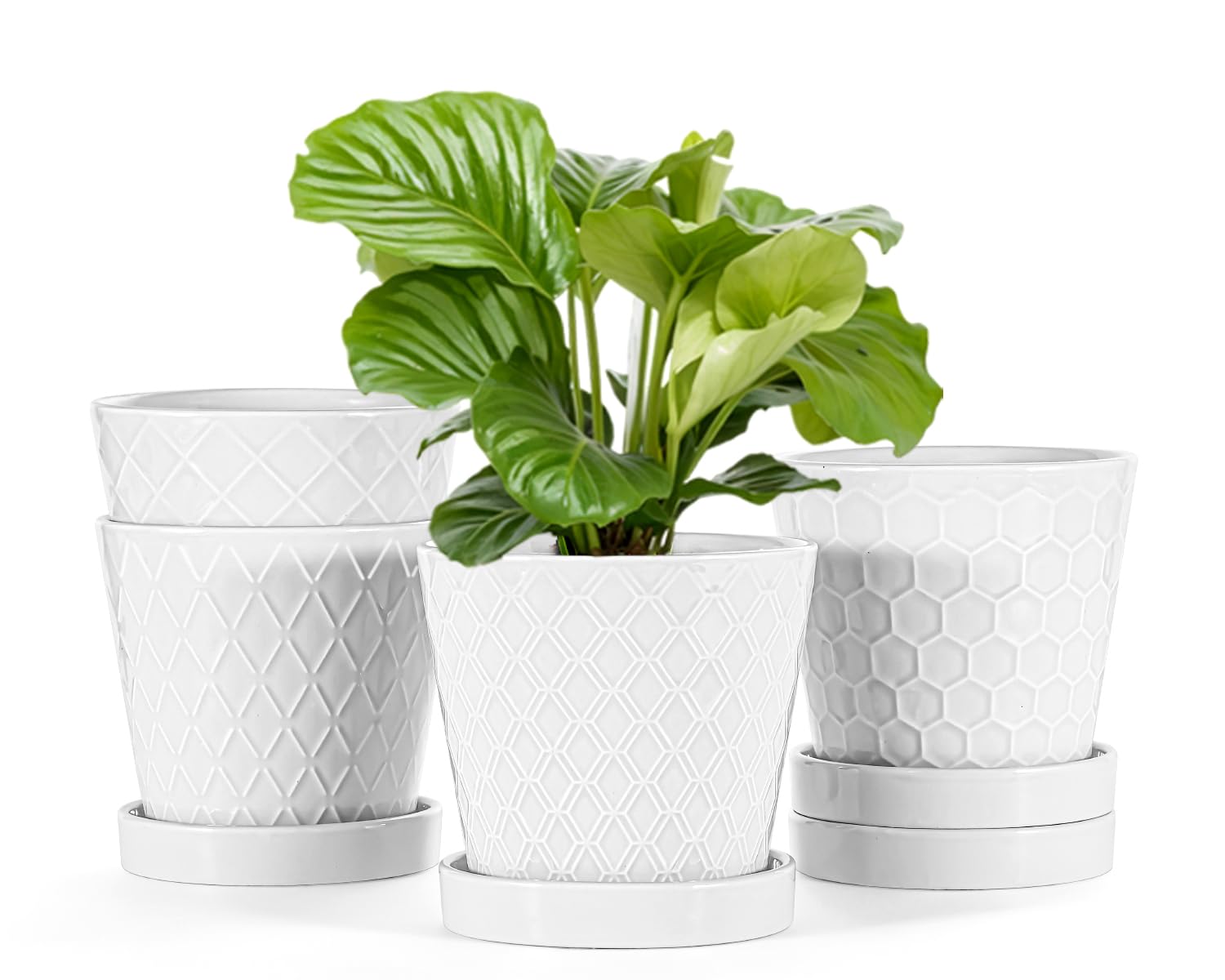 Photo 1 of EFISPSS Flower Planter –5 inch Ceramic Plant Pots with Drainage Holes and Ceramic Tray - Gardening Home Desktop Office Windowsill Decoration Gift Set of 4 - Plants NOT Included (White)