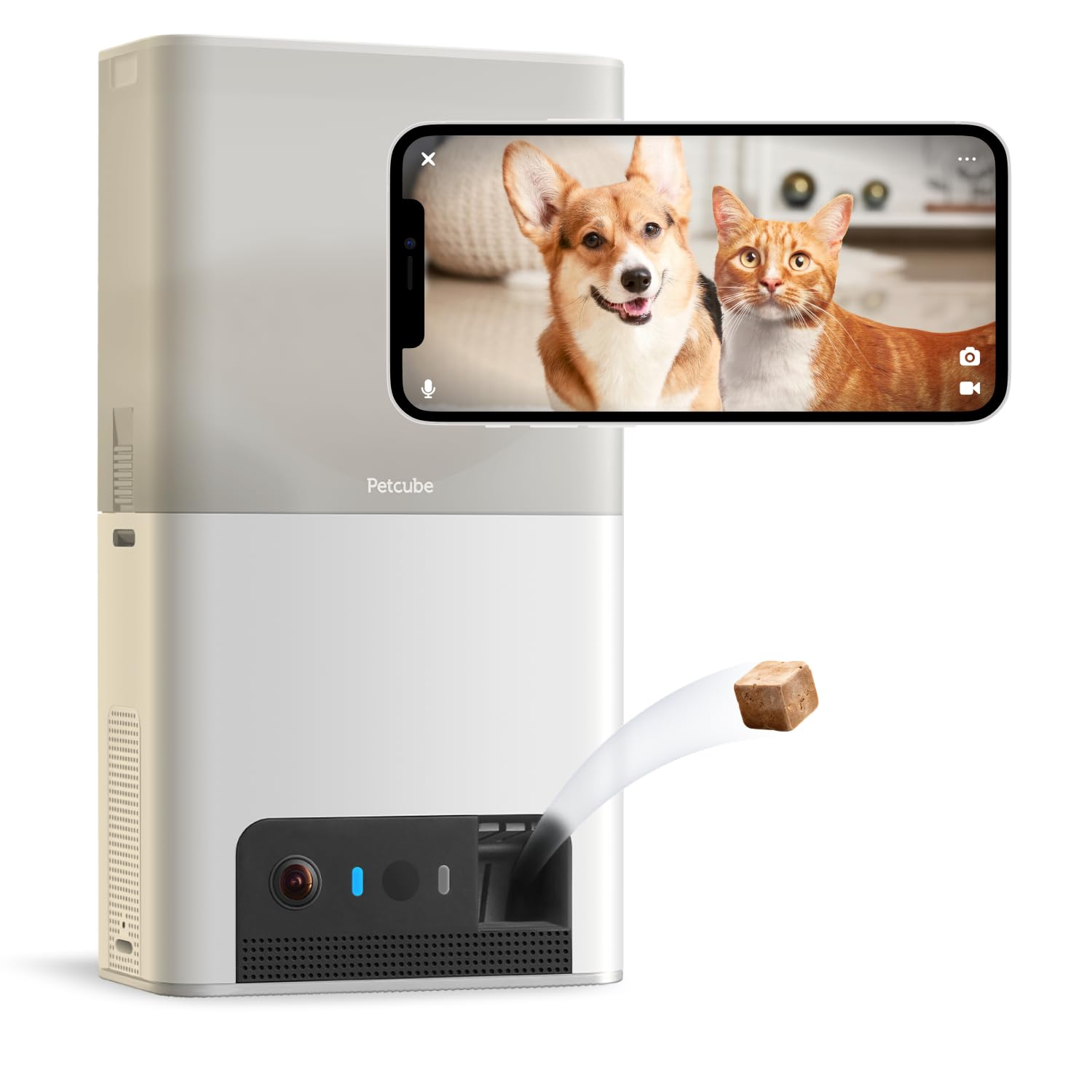 Petcube Bites 2 Lite Interactive WiFi Pet Monitoring Camera with Phone App and Treat Dispenser, 1080p HD video, Night Vision, Two-Way Audio, Sound and Motion Alerts, Cat and Dog Monitor