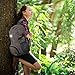 Foldable Backpack – Travel Backpack – Water Resistant Hiking Daypack – Air Traveling Carry on Backpack – School Kids Backpack - Foldable Daypack – Urban Small Backpack for Man and Woman