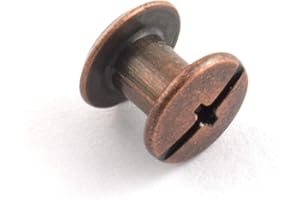 LQ Industrial 120pcs Chicago Screw Slotted Philip Head Binding Screws Rivet Book Binding DIY Leather Craft Assembly Bolt 5x6mm Red Bronze