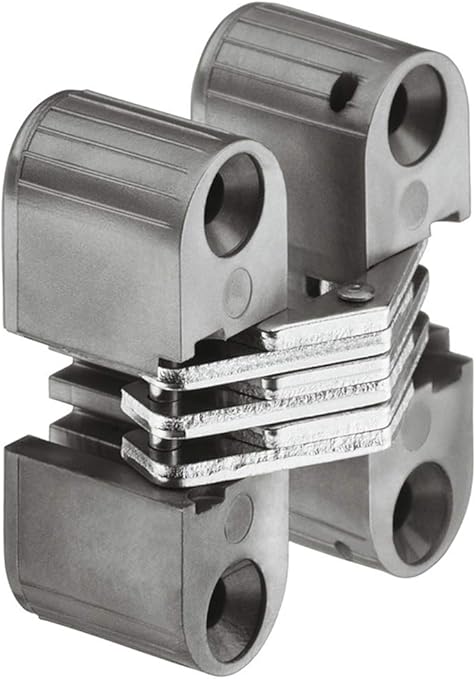 Gedotec H1964 - Bisagra para puerta de armario (latón plateado mate, 11