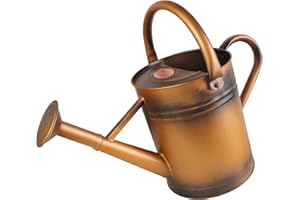 Megawodar Metal Watering Can with Removable Spout, Galvanized Steel Plants Water Can for Women, Men and Kids' Outdoor or Indoor Gardening - Nice Flower Metal Watering Pot Gift & Decoration