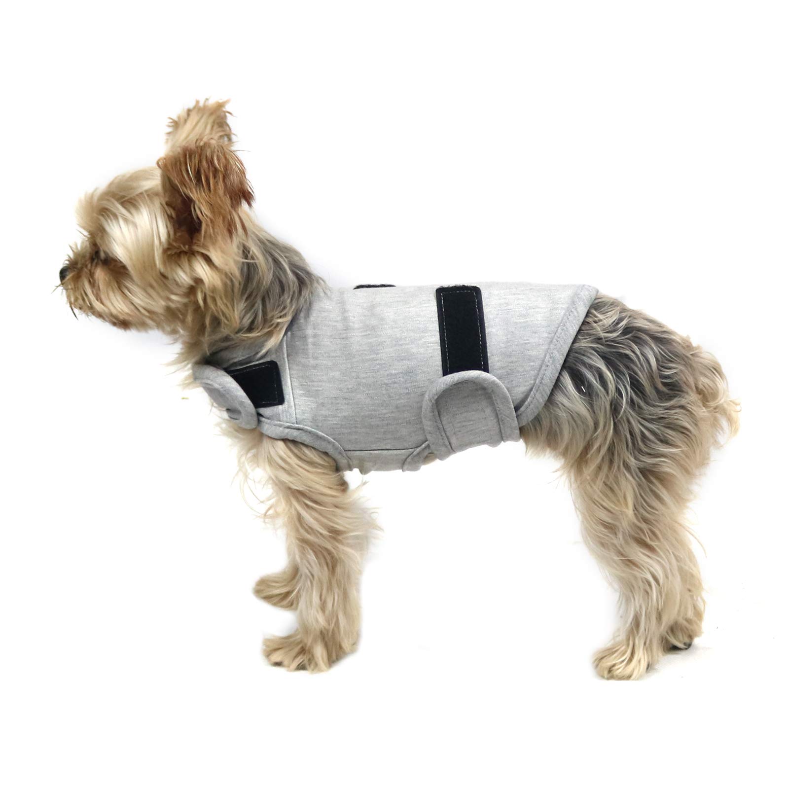 cattamao Comfort Dog Anxiety Relief Coat, Dog Anxiety Calming Vest Wrap for Thunderstorm,Travel,4th of July Fireworks,Vet Visits,Separation Anxiety Relief for Dogs (X-Small (Pack of 1), Light Gray) — image 1