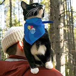 DOODLREAM 48Pcs Cat Playing Halloween Embroidery