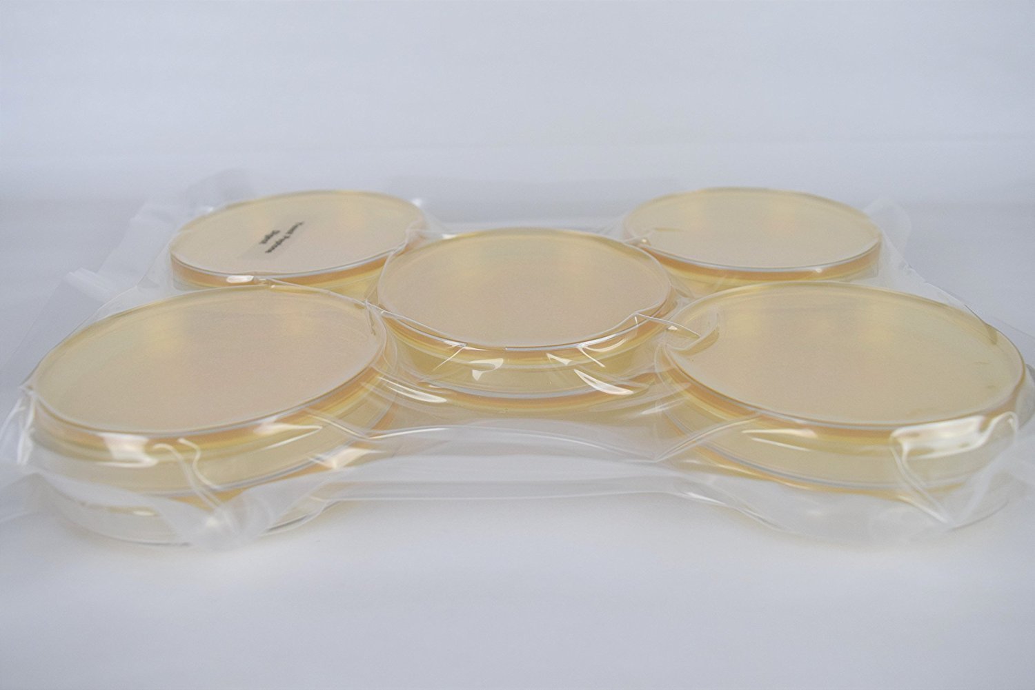 Yeast Peptone Dextrose Agar (YPD), (10Pack), PrePoured, FlatPacked