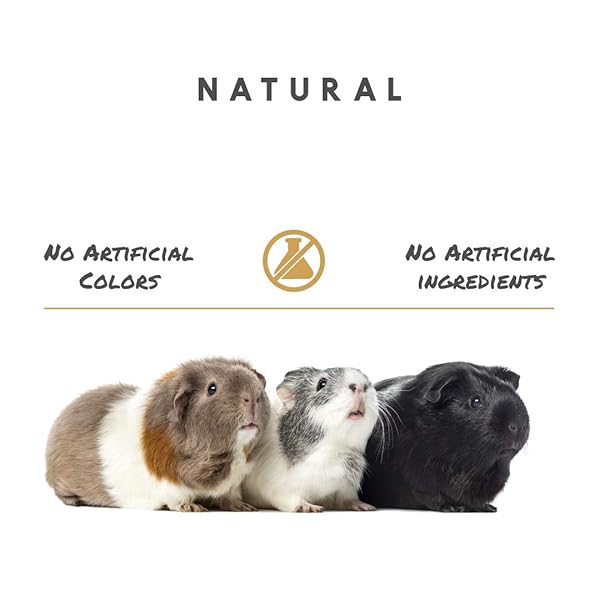 MANNA PRO GUINEA PIG FEED – WITH VITAMIN C – COMPLETE FEED FOR GUINEA PIGS – NO ARTIFICIAL COLORS OR FLAVORS – 5 LB