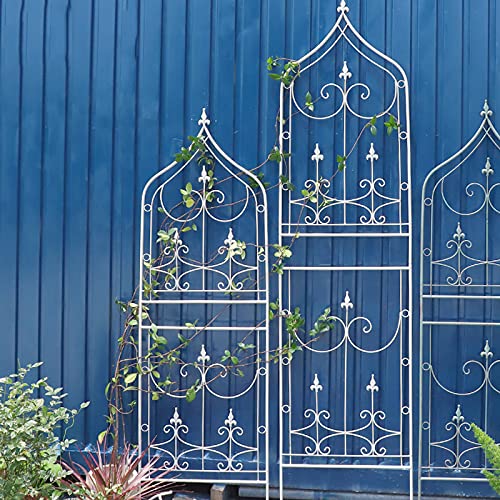 PLHMS 3er Pack Pflanzen-Rankhilfe aus Metall, für den Garten, Rankgitter mit Halter H-96 cm Kletterhilfe, Garten… – Bild 4