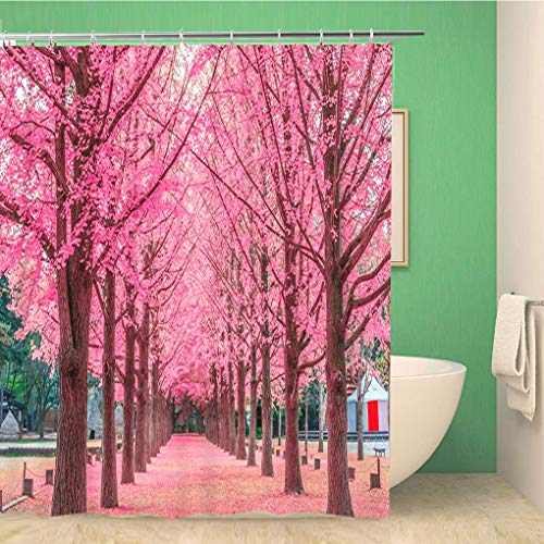 Awowee Bathroom Shower Curtain Blue Lanscape Pink Tree Nami Island in Korea Green Asia Polyester Fabric 60x72 inches Waterproof Bath Curtain Set with Hooks
