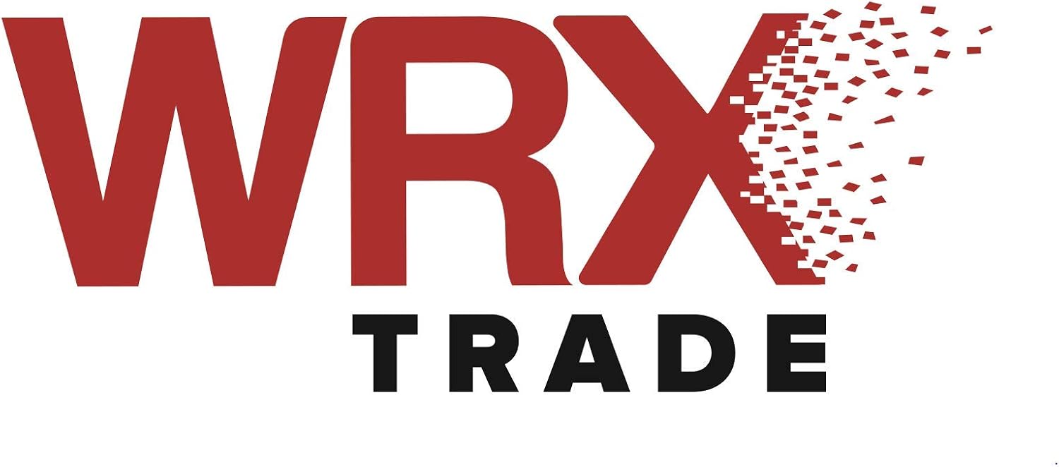 WRX Spray Paint 400 ml - Matt Multi Purpose Lacquer 001, Varnish, 400 g (Pack of 1) - Image 4