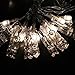 Clips String Lights, Window Curtain Wall 20 LED String Lights for Hanging Artwork Photos Memos and Paintings, for Bedroom, Dorm, Home Décor