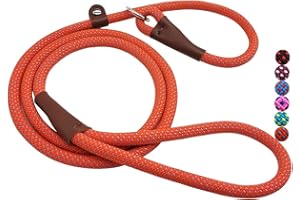 MayPaw Dog Leash Rope Slip Lead,1/4"-5Ft Durable Nylon Puppy Leash- Colorful Adjustable Training Pet Leash for Small and X-Small Dogs
