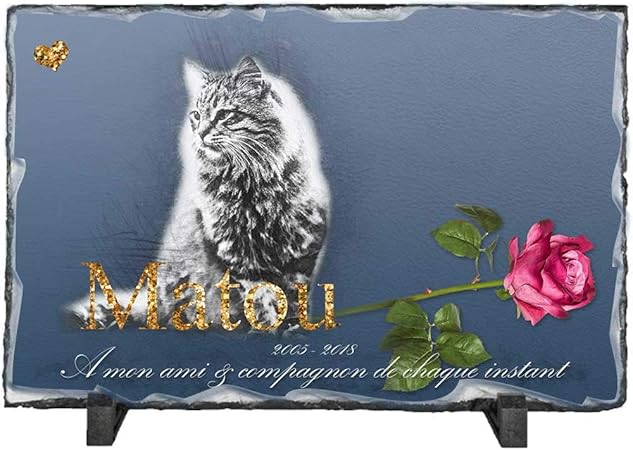 Personnalisable Photo Et Texte Plaque Mortuaire Pour Votre Chat 22 12 Cm Amazon Fr Animalerie Personnalisable Photo Et Texte Plaque Mortuaire Pour Votre Chat 22 12 Cm Amazon Fr Animalerie