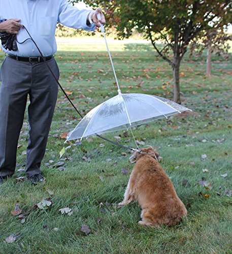 Perfect Life Ideas Pet Dog Umbrella with Leash - Easy View Clear Transparent Folding Puppy Umbrella for Small Dogs Puppies 20 Inches Back Length - Provides Protection from Rain Snow Wet Weather