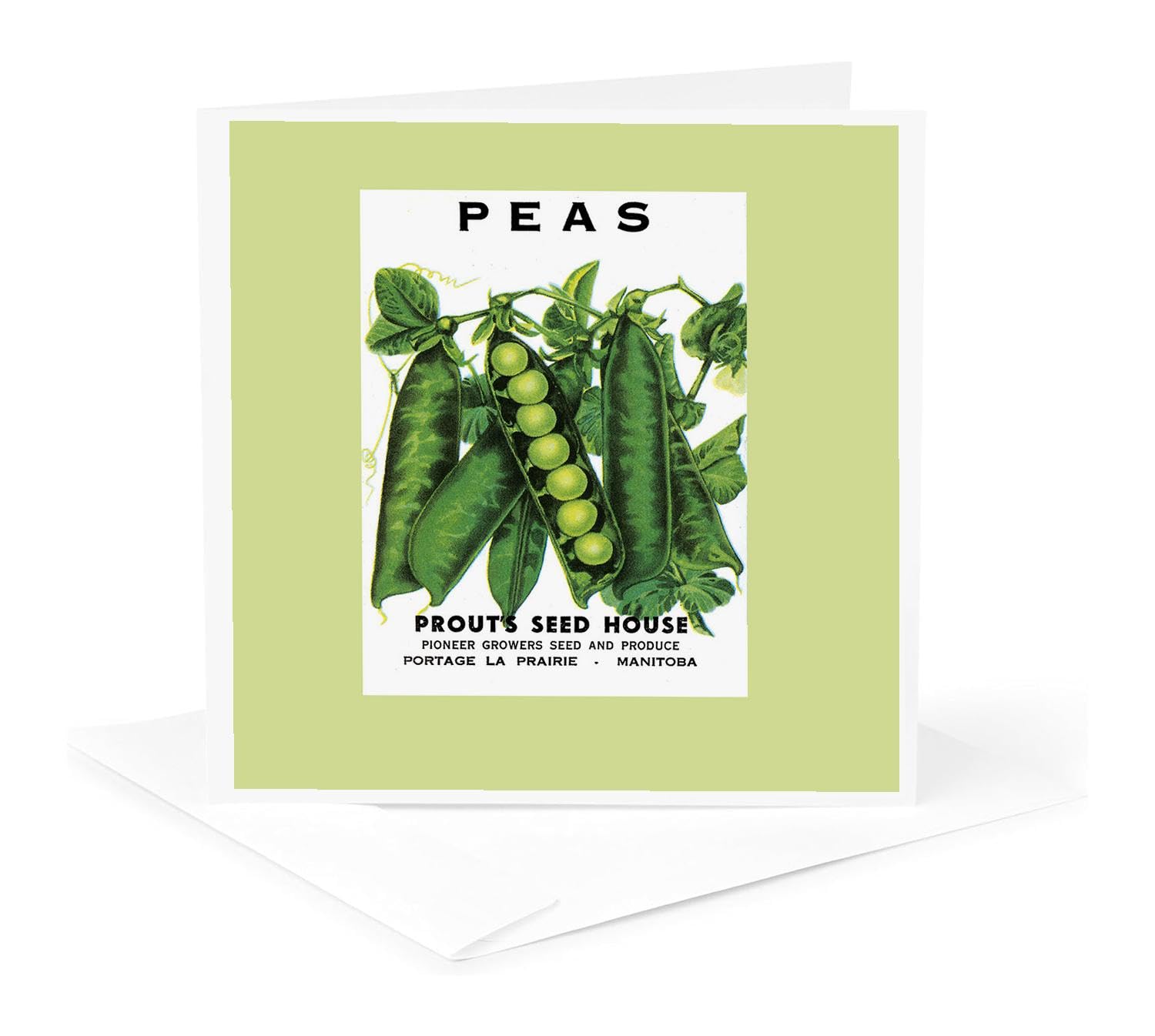 3dRose gc_170468_5 6 x 6-Inch "Peas Green Peas in The Pods Vegetable Seed Packet Reproduction" - Greeting Card