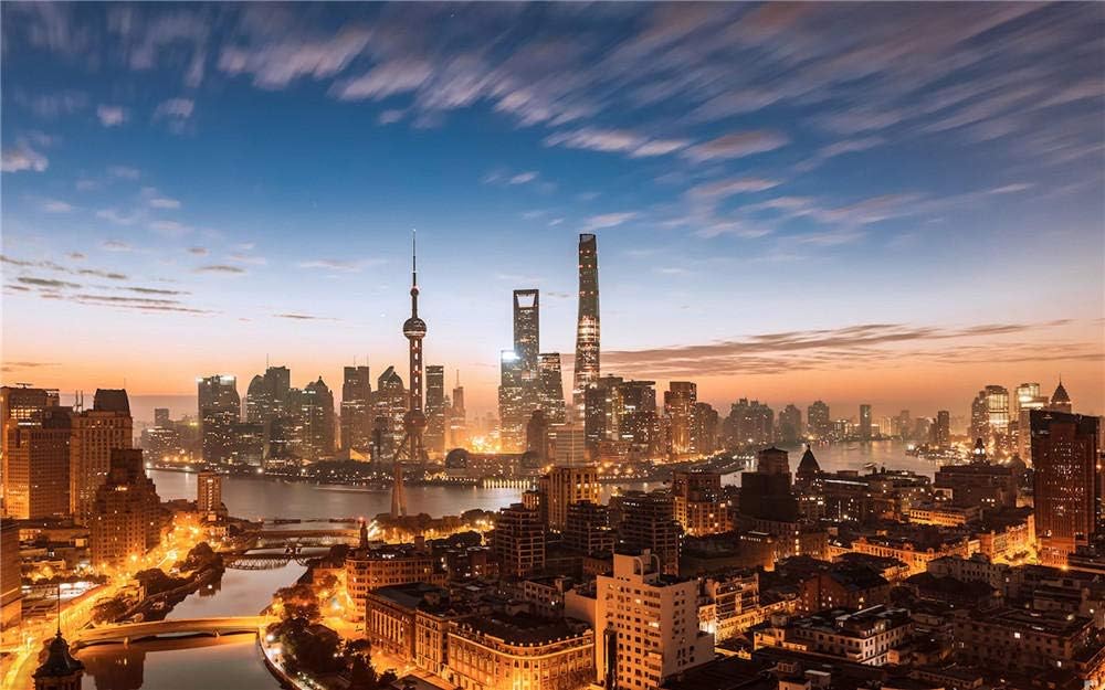 OKOUNOKO 500 Pieces Jigsaw Puzzles,Shanghai Architecture, For Kids And Adults, Wooden Personalised Assembling Jigsaw Fun Game, 52X38Cm
