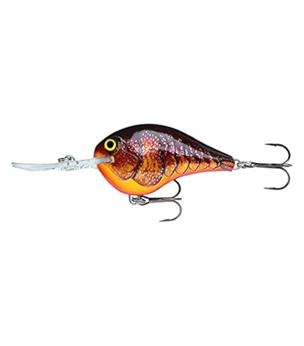 Amazon.com : Rapala Dives-to 3/4 Oz Fishing lure (Parrot