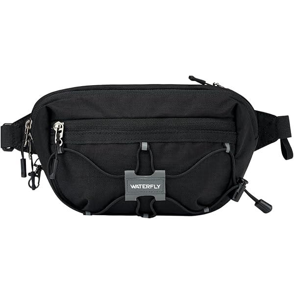 Amazon.com | Champs Onyx Carrying Case (Waist Pack) Accessories