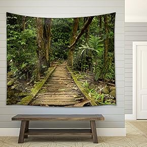 Low Angle View of a Wooden Bridge in The Ecuadorian Jungle. - Fabric Wall Tapestry Home Decor - 51x60 inches