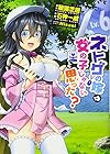 ネトゲの嫁は女の子じゃないと思った? 第6巻