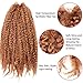 Pack of 3 Afro Kinky Marley Braids Hair Extensions ELEGANT MUSES Kanekalon Synthetic Twist Crochet Braiding Hair 18 inch 100g/pcs (18 inch, 30#)