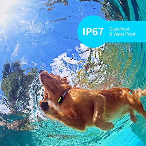 PETBLE Dog Cat Pet Smart Tag Tracker - Portable Bluetooth Wireless 4.0 Lightweight, Waterproof, Compatible with Multiple Smart Devices 24/7 Activity Monitor Pet Health Tracker for IOS Android (Purple)