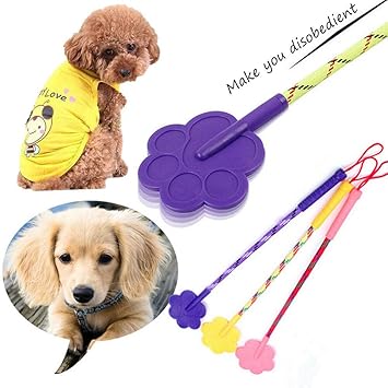Pets Empire Training Stick Trained Tool Random Color Dog Cats Plastic Pat Paw Shape (Color May Vary (Single Pack)