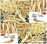 10 x Chinese Ginseng - Panax ginseng Seeds - äººå‚ MEDICINAL & HERBAL - Cold Hardy To Zone 6 - By MySeeds.Co