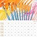Alritz Acrylic Paint Brush Set, Artist Paint Brushes with Carrying Case for Oil, Watercolor, Face and Body Painting