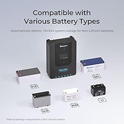 Renogy Rover 20A 12V/24V Auto DC Input MPPT Solar