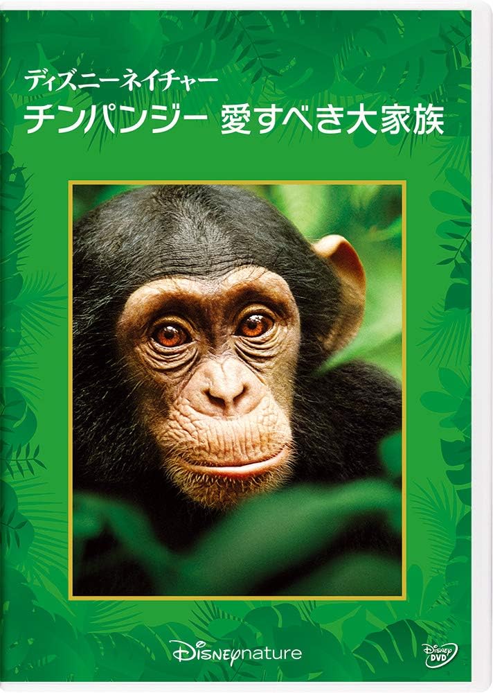 Amazon ディズニーネイチャー チンパンジー 愛すべき大家族 Dvd 映画