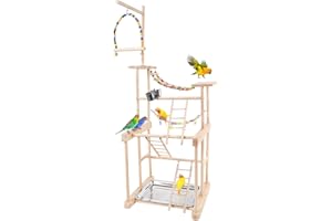 Chuiendi Bird Playground Play Stand Parrot Perch Stand, Natural Wood Play Gym for Parakeet Conure Cockatiel Lovebird Budgie with Feeder Cups, Swings, Ladder and Detachable Tray