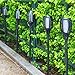 OxyLED Solar Torch Lights Outdoor, 4-Pack Solar-Powered Garden Pathway Light with Realistic Dancing Flames, Waterproof Garden Decorations Landscape Pathway Path Lighting with Auto On/Off Dusk to Dawn