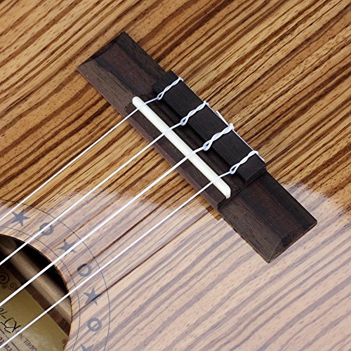 Rubin RT102 All Zebrawood Mirror Polished Thin Body 26" Tenor Acoustic