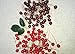 Fashionclubs Christmas Tree Artificial Red Holly Berry Pick Branch Wreath Pack of 100