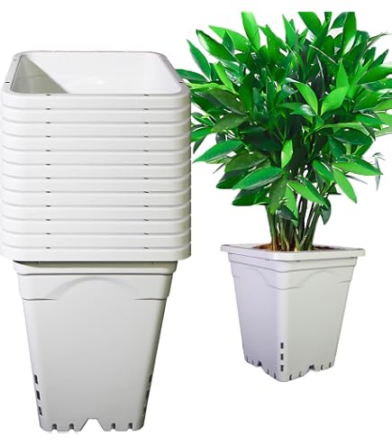 Amazon.com: 9" x 9" Square White Pot, 10" Tall (5 Pots/3 Gallons each) :  Patio, Lawn & Garden