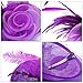 Valdler Halloween Costume Feather Net and Veil Fascinator Hair Clip Hat Hair Accessories Clip for Festival Party Purple