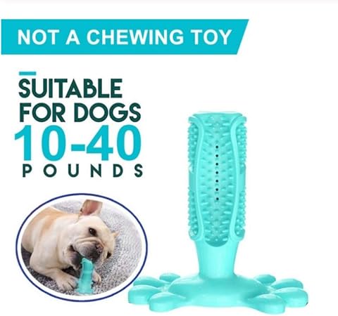 Brosse à Dents For Animaux De Compagnie Chien Jouet Brosse