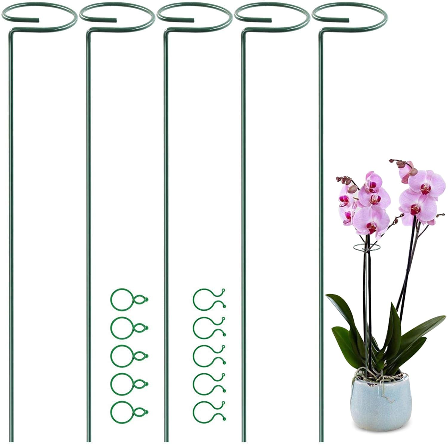 5 Pack 35 inch 90 cm Plant Support Stakes, Garden Single Stem Support Stake Amaryllis Plant Support Rings with 10 pcs Plant Clips for Tomatoes Orchid Lily Peony Flower Stem (90 CM)