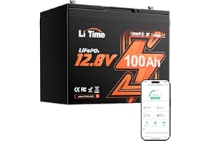 LiTime 12V 100Ah Bluetooth LiFePO4 Lithium Battery, Group 24, Max.1280Wh Energy, Built-in 100A BMS with Low-Temp Protection, 
