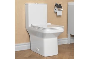 DEER VALLEY One Piece Toilet, DeerValley DV-1F0071 Modern Elongated Toilet Power Dual Flush 1.1/1.6 GPF Toilet for Bathroom 12" Rough in Rectangular Bowl, 1000g MaP