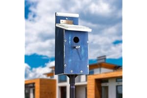 CEDAR ALPHA American Sky Bluebird House for Outside, Oak Bird House for Outdoor, Shingles Roof, Easy Cleaning, Wall Post Pole Mountable, Birdhouse for Small Birds, UV Resisitant Painted